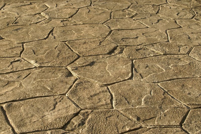 Decorative Concrete Repair in Sarasota, FL