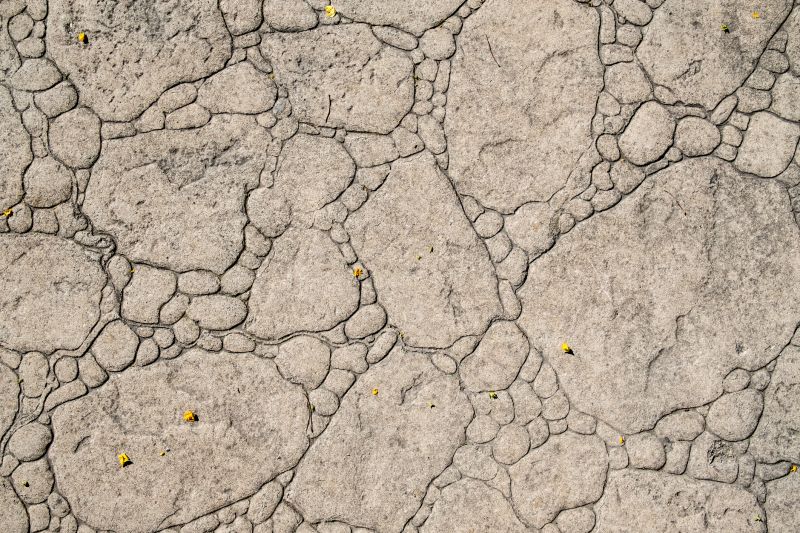 Decorative Concrete Repair in Phoenix, AZ